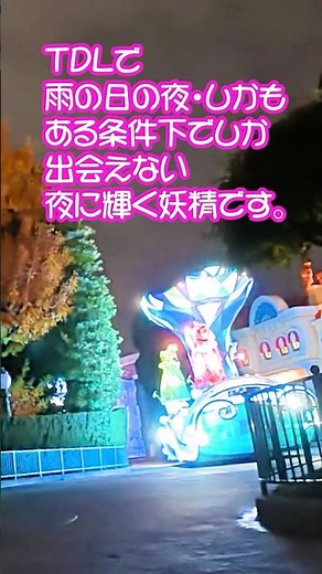 TDL 雨の日の夜・しかもある条件下でしか出会えないお楽しみ 【 ナイトフォール・グロウ 】 「眠れる森の美女」」輝く妖精 東京ディズニーランド
