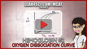 Oxyhemoglobin Dissociation Curve Right and Left Shift Explained