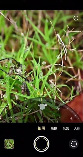 Vivo X200 Ultra ZEISS Camera vs iPhone Pro Max Ultra Zoom Battle #cameraquality #phonecamera #vstest