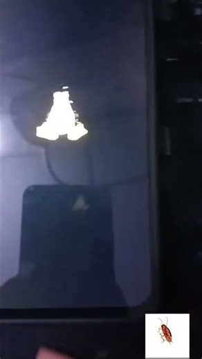 Linux kernel panic skibidi android