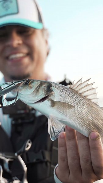 PONEMOS a PRUEBA la LATIGO ADAGGIO