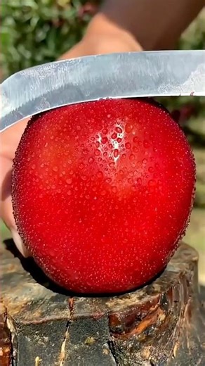 Top 5 WEIRDEST Apple Types