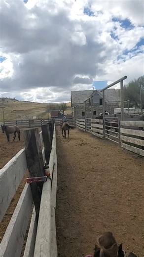 Jake Johnston on TikTok