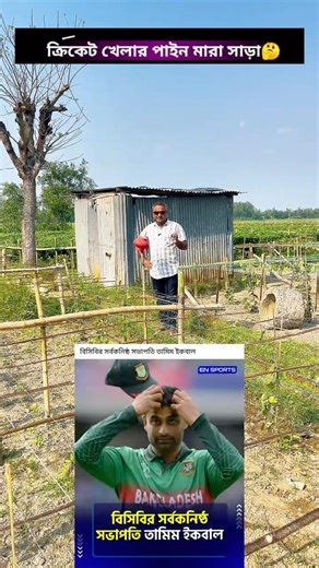 ক্রিকেট খেলার পাইন মারা সাড়া🤔 #motivation #funny #viral #bcb #cricket