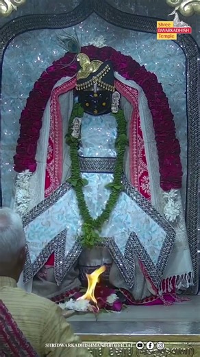 राजाधिराज द्वारकाधीश जी के मङ्गला आरती दर्शन 🙏🏻 श्री द्वारकाधीश मंदिर द्वारका,गुजरात 13/12/2025