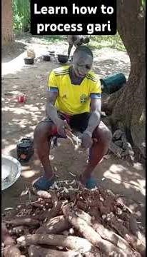 learn how to process gari the first step