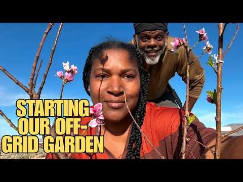 Starting From Scratch: Using Permaculture Principles To Build A Desert Garden