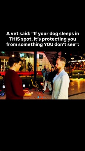 Ivan Sergeev on Instagram: "1. «When a dog starts sleeping between you and a doorway, it’s not comfort — it’s threat-mapping.” Dogs position themselves to intercept movement, sound, or scent before it reaches the owner. “They only do this when they detect instability in the environment,” she said. Not danger — instability. Humans miss these micro-shifts, but dogs don’t. 2. A dog’s nervous system constantly scans three signals: irregular footstep rhythms, inconsistent human tone, and unpredictabl