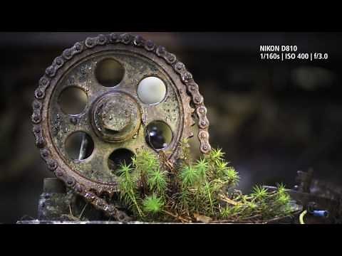 'The Beauty of Rust' | AF-S VR Micro NIKKOR 105mm f/2.8G IF-ED | Macro Lens Masterclass