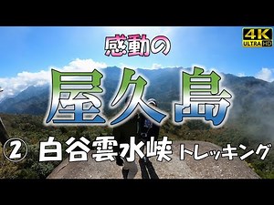 【感動の屋久島】②白谷雲水峡トレッキング 🌳 苔のむす森を歩く！太鼓岩では見渡す限りの絶景を堪能！