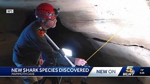 New species of shark discovered at Kentucky's Mammoth Cave National Park