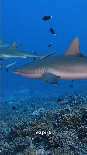 COHERENCE CARDIAQUE RELAXATION