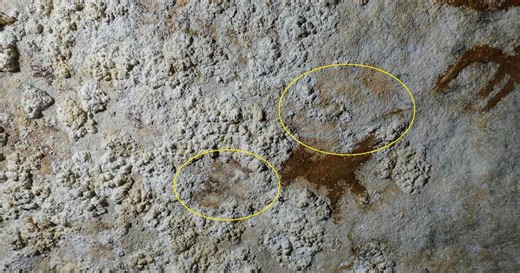 Arte rupestre mais antiga da Humanidade descoberta na Ilha de Sulawesi, na Indonésia