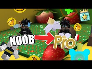 DE NOOB A PRO Parti#1 l Bee Swarm Simulator (Roblox)