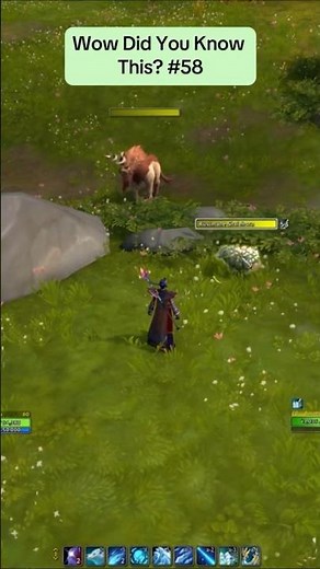 Get This Insane Mage Mosswool Polymorph! #midnight #worldofwarcraft #foryou #gaming #wow