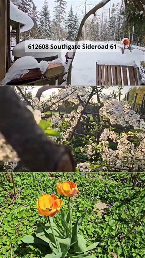 8+ Acre Recreational Retreat | 612608 Sideroad 61, Southgate, Ontario | Grey County Real Estate