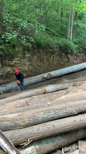 Cope Logging#WNC Logging#Timberjack | Logging Videos