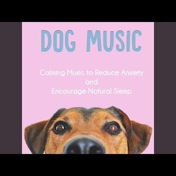 Dog Lullaby