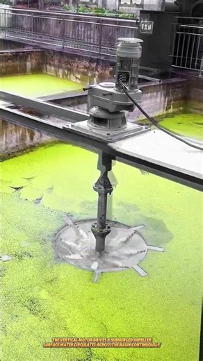 Surface Aerator Rotates Wastewater to Increase Oxygen Transfer in Treatment Basin #machine #water