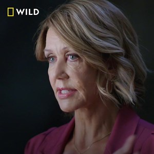 11K views · 106 reactions | Lebensbedrohliche Bisse, ihre Ursachen und ihre Folgen - HILFE, ICH WURDE GEBISSEN Die neue Serie - Jeden Freitag um 21:00 Uhr auf National Geographic | National Geographic | Facebook