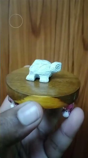 A turtle in a house gives you a good fortune To know more stay tunned