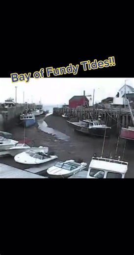Exploring the Magnificent Bay of Fundy Tides