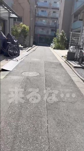 来ないで　#shorts