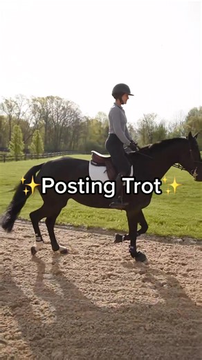 Posting Trot Tips & Exercises