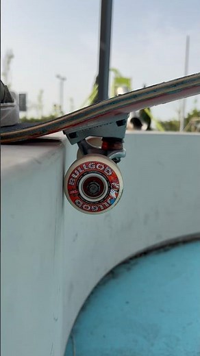 New wheels and fingerboard collection 🛹