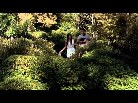 Bold and Beautiful 6514