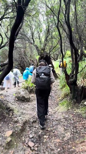 JALUR PENDAKIAN GUNUNG PAPANDAYAN