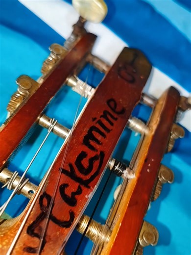 #musico #ochorola #takamine #guitar #musica