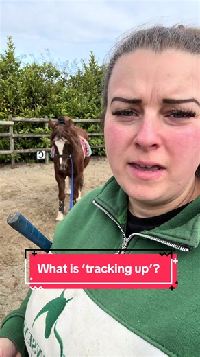 Understanding ‘Tracking Up’ in Equestrian Riding