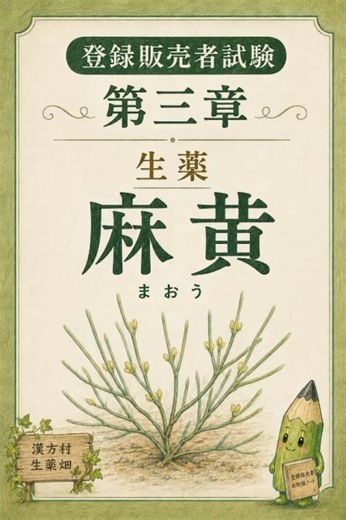 登録販売者試験【生薬 麻黄】気管支・発汗・利尿を楽しく理解！