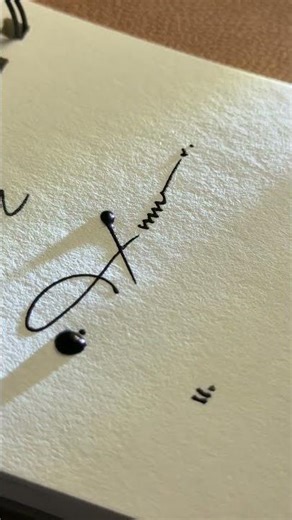 How to sign the letter x?