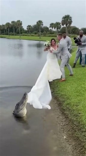 The Wedding Stopped... When THIS Happened! #Shorts