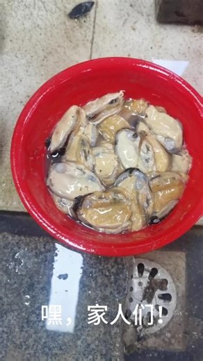 源自优质的海域的贻贝，那里水质清澈，无污染，为贻贝提供了天然、健康的生长环境。每一颗贻贝都是渔民们精心捕捞上岸，然后经过严格的筛选和检测，确保只有最新鲜、最优质的贻贝才能装箱送到餐桌。#美食教程 #自制美食 #传统美食制作 #每日新鲜食材 #美食分享
