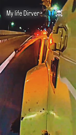 Rider Roy on Instagram: "My life Dirver🦅🦋☠️🚀🚚"