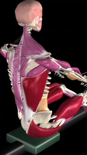 1.8K views · 76 reactions | “Master the Rowing Machine! Correct Form, Muscles Worked & Common Mistakes” #fblifestyle | Azra Fitness | Facebook