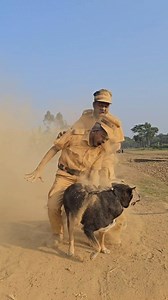 Img 😂😂dog😁comedy #reels #viral #funny #comedy #memes #dog #foryouシ #newvideo #2026viralvideo #facebookviral | Wushu Mahabub