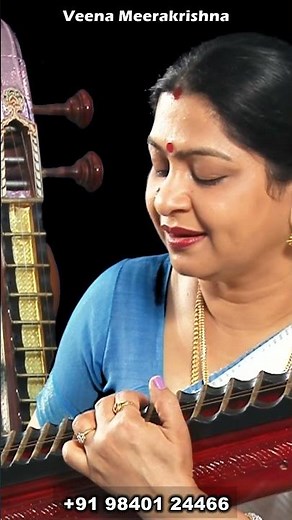 Naane Naana || நானே நானா - film Instrumental by Veena Meerakrishna