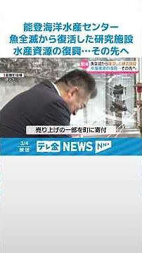 【地震被害で魚全滅の｢能登海洋水産センター｣】2年で元の姿に戻りつつ…「要望に応えられる魚 作っていきたい｣ #shorts