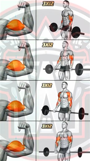 Do These 4 Barbell Curls for Bigger Biceps 💪