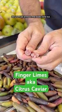 Tiny Citrus Pearls aka Lime Caviar aka Finger Limes!