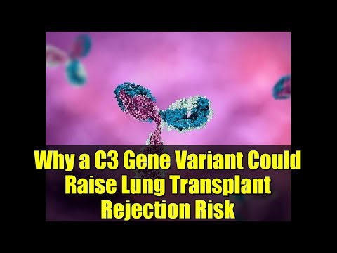 Why a C3 Gene Variant Could Raise Lung Transplant Rejection Risk