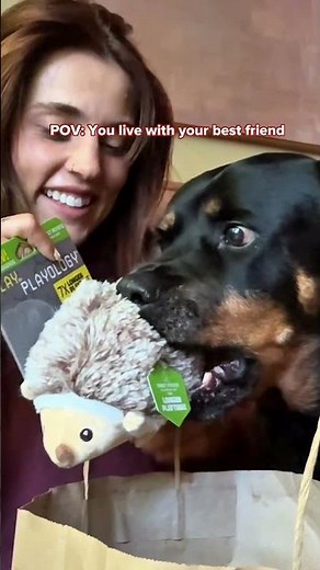 Living with a Dog Means Toys, Treats & a Full Bag Every Time | CVS Pharmacy
