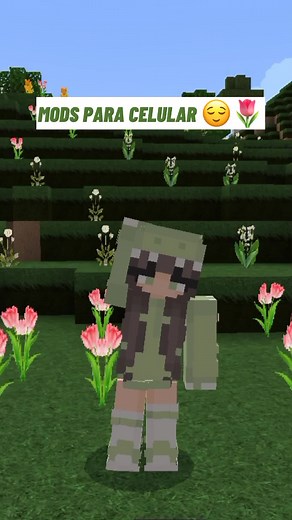 Mods Estéticos para Minecraft: Mejora la Estética con Nuevos Mods