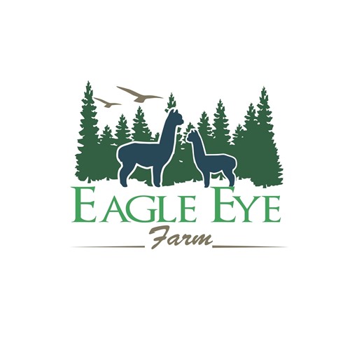 Ever wondered how often alpacas can get pregnant? Let’s dive into the fascinating world of alpaca reproduction and answer your burning questions!🦙💕 ➡️Make sure you’re following us for more farm content! Every single like, share, and comment helps the farm and all the animals. #eagleeyefarm #alpaca #cuteanimals #babyanimals #animallovers #alpacas #agriculture #farmlife | Eagle Eye Farm