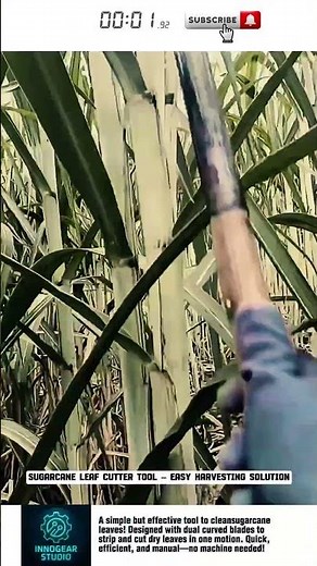 Sugarcane Leaf Cutter Tool – Easy Harvesting Solution