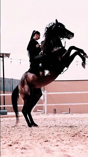 Brave Girl & Powerful Horse Jump 🐎⚡ Amazing Skills#GirlPower #HorseJumping #HorseSkills
